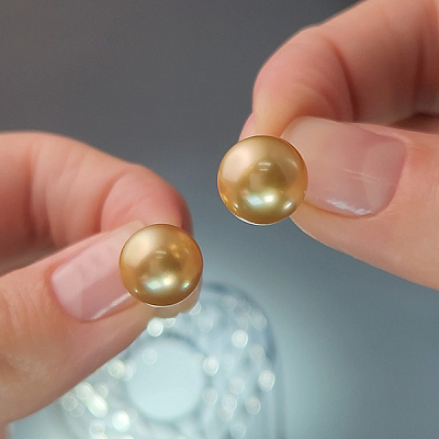 Earrings with golden South Sea pearls