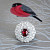 Ring with ruby and diamonds