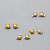 Stud earrings with golden South Sea pearls and diamonds